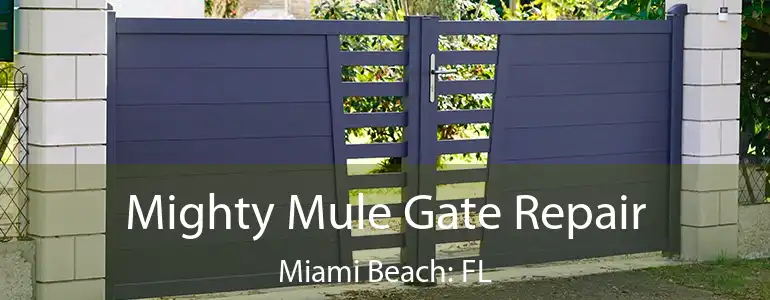  Mighty Mule Gate Repair Miami Beach: FL