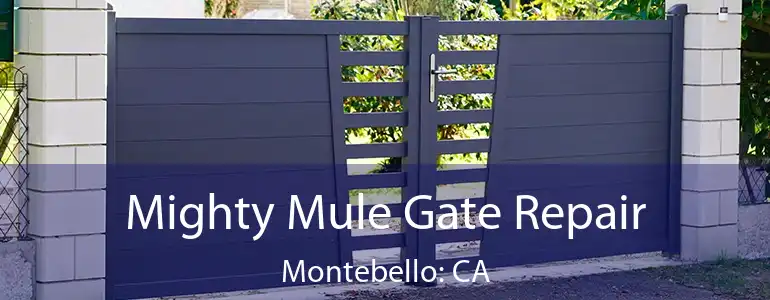 Mighty Mule Gate Repair Montebello: CA