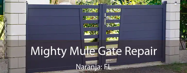  Mighty Mule Gate Repair Naranja: FL