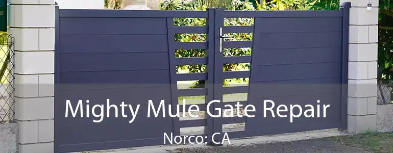  Mighty Mule Gate Repair Norco: CA