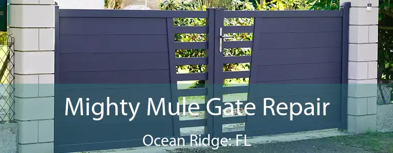  Mighty Mule Gate Repair Ocean Ridge: FL
