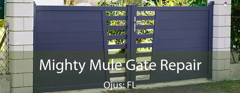  Mighty Mule Gate Repair Ojus: FL