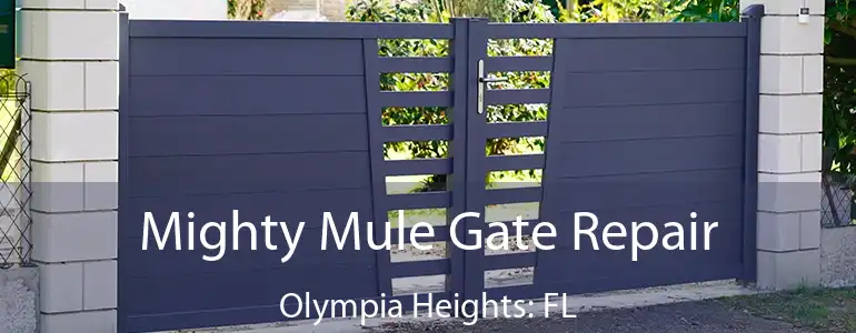  Mighty Mule Gate Repair Olympia Heights: FL