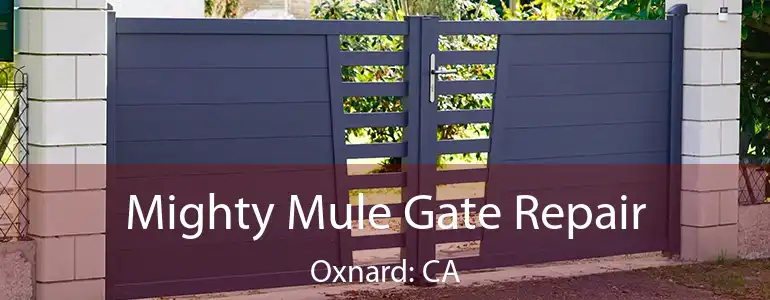  Mighty Mule Gate Repair Oxnard: CA