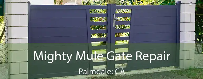 Mighty Mule Gate Repair Palmdale: CA