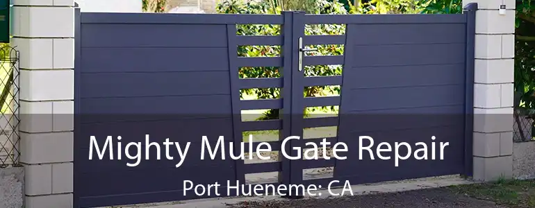  Mighty Mule Gate Repair Port Hueneme: CA
