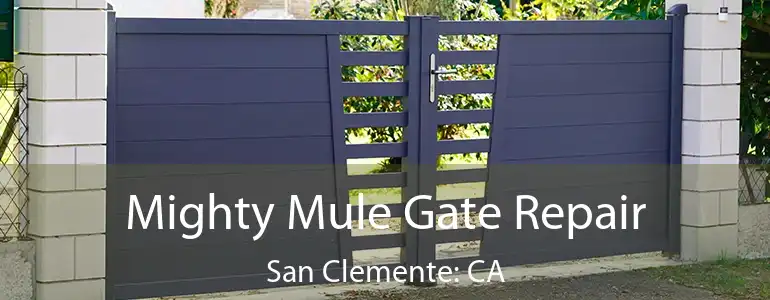  Mighty Mule Gate Repair San Clemente: CA