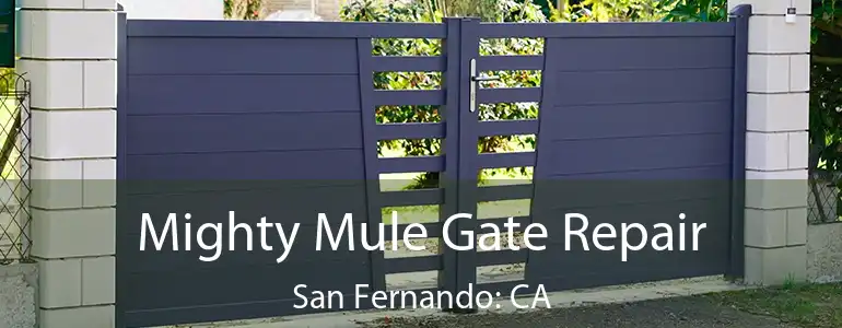  Mighty Mule Gate Repair San Fernando: CA