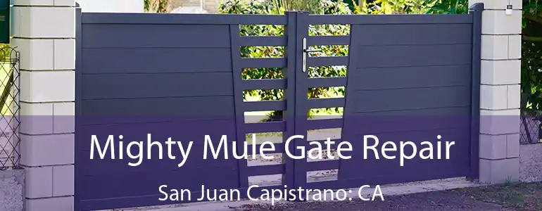  Mighty Mule Gate Repair San Juan Capistrano: CA