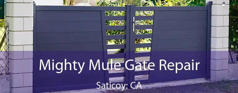  Mighty Mule Gate Repair Saticoy: CA