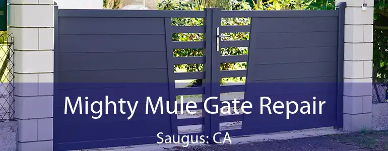  Mighty Mule Gate Repair Saugus: CA