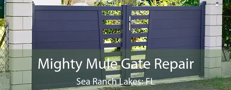  Mighty Mule Gate Repair Sea Ranch Lakes: FL