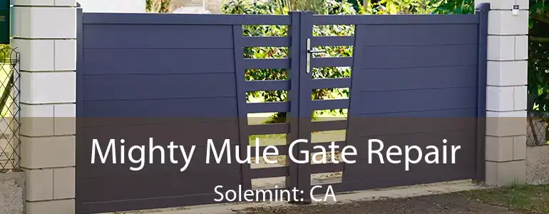  Mighty Mule Gate Repair Solemint: CA