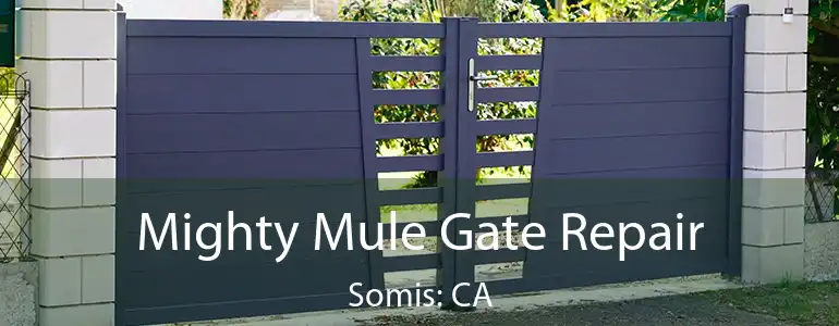  Mighty Mule Gate Repair Somis: CA