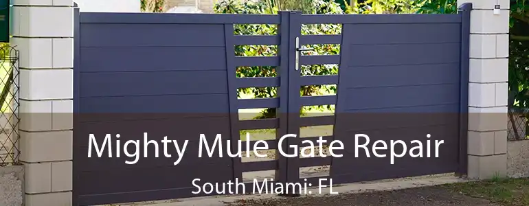  Mighty Mule Gate Repair South Miami: FL