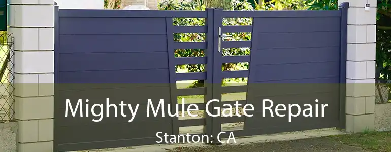  Mighty Mule Gate Repair Stanton: CA