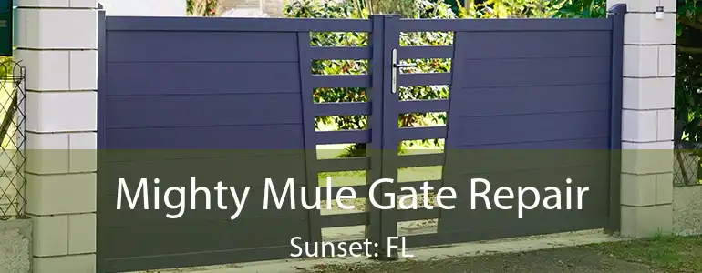  Mighty Mule Gate Repair Sunset: FL