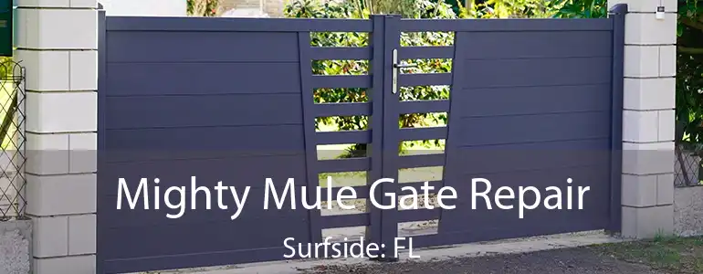  Mighty Mule Gate Repair Surfside: FL