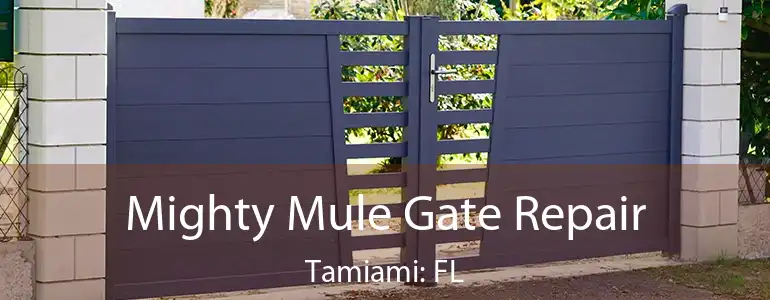  Mighty Mule Gate Repair Tamiami: FL