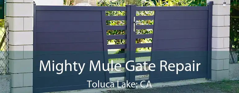  Mighty Mule Gate Repair Toluca Lake: CA