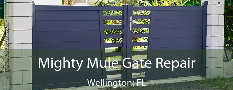  Mighty Mule Gate Repair Wellington: FL