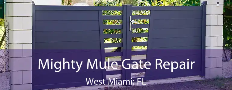  Mighty Mule Gate Repair West Miami: FL