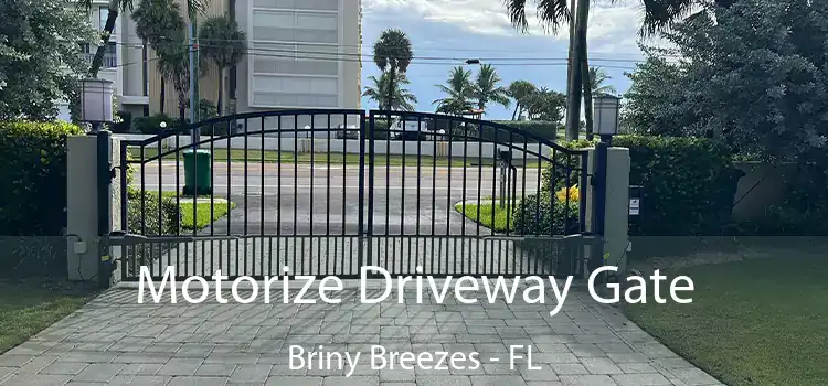  Motorize Driveway Gate Briny Breezes - FL