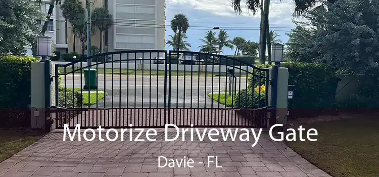  Motorize Driveway Gate Davie - FL