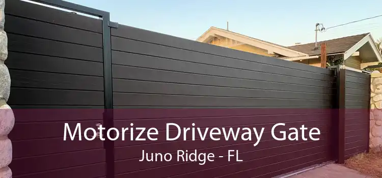 Motorize Driveway Gate Juno Ridge - FL