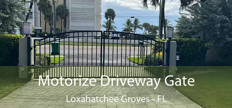  Motorize Driveway Gate Loxahatchee Groves - FL