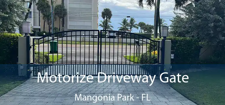 Motorize Driveway Gate Mangonia Park - FL