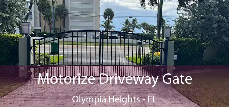  Motorize Driveway Gate Olympia Heights - FL