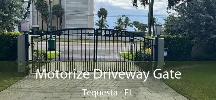 Motorize Driveway Gate Tequesta - FL