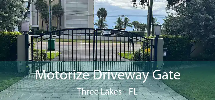 Motorize Driveway Gate Three Lakes - FL