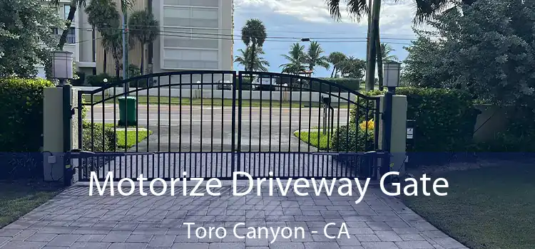  Motorize Driveway Gate Toro Canyon - CA