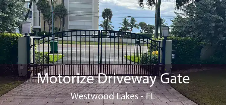  Motorize Driveway Gate Westwood Lakes - FL