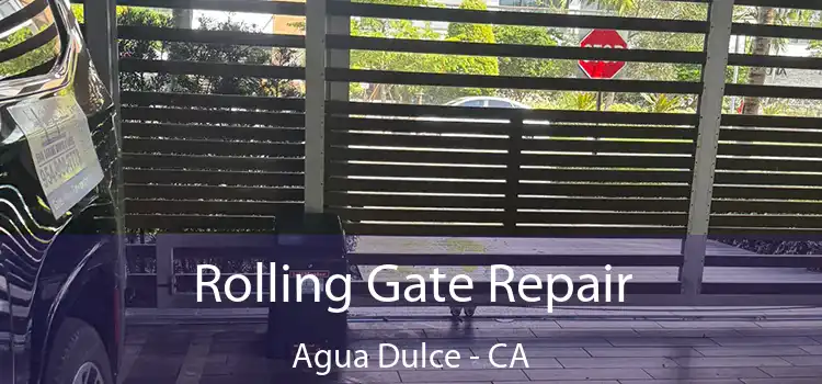  Rolling Gate Repair Agua Dulce - CA