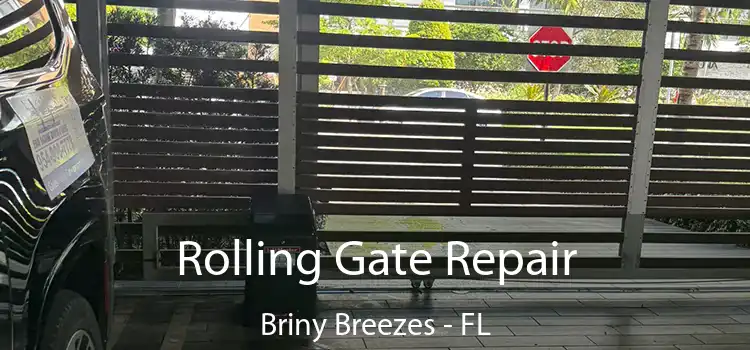  Rolling Gate Repair Briny Breezes - FL