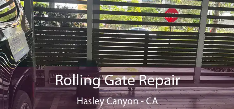 Rolling Gate Repair Hasley Canyon - CA