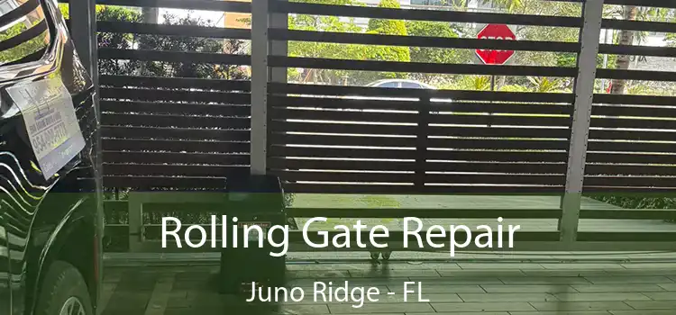  Rolling Gate Repair Juno Ridge - FL
