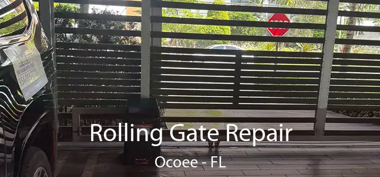 Rolling Gate Repair Ocoee - FL