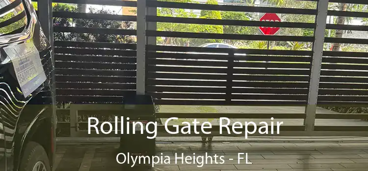 Rolling Gate Repair Olympia Heights - FL